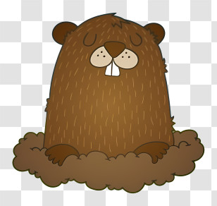 Brown Bear - Cute Groundhog Illustration Transparent PNG