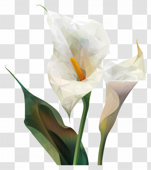 Digital Art - Elegant White Calla Lily Transparent PNG