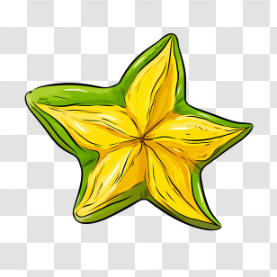 Starfruit - Yellow And Green Star Fruit Illustration Transparent PNG