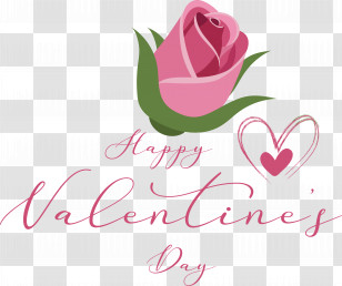 Garden Roses Transparent PNG