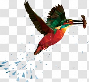 Havelock Island Port Blair The Life And Times Of Scrooge McDuck Kingfisher Transparent PNG
