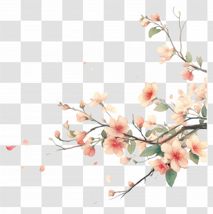 Flower Banner - Delicate Flower Branch With Blossoms Transparent PNG