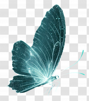 Sparking Butterfly - Glowing Sparkling Butterfly Transparent PNG