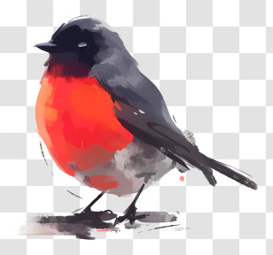 Bird - Colorful Bird Illustration With Red Breast Transparent PNG
