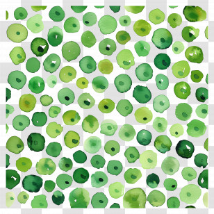 Green Background - Green Watercolor Dots Pattern Transparent PNG