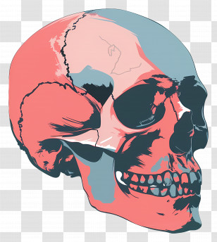 Skull - Stylized Skull Illustration With Red And Blue Colors Transparent PNG