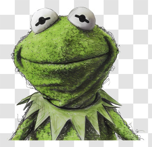 Kermit The Frog - Green Frog With Big Eyes Transparent PNG
