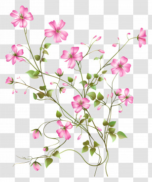 Pink Flowers - Pink Flowers On Stems Illustration Transparent PNG