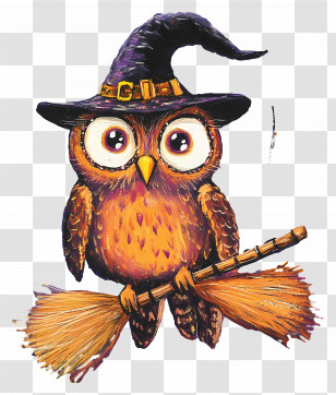 Halloween Owl - Adorable Witch Owl With A Broomstick Transparent PNG
