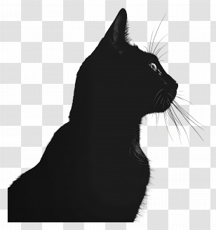 Cat Silhouette - Silhouette Of A Black Cat Transparent PNG