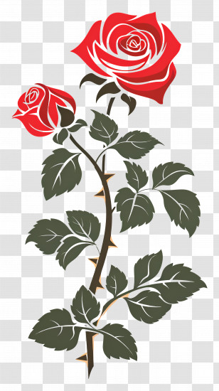 Roses Garden - Artistic Red Rose With Thorns And Green Leaves Transparent PNG
