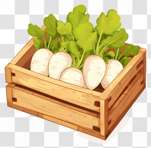 White Radish - Crate Of Fresh White Radishes Transparent PNG