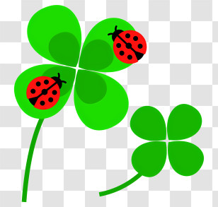 School - Green Clover With Ladybugs Transparent PNG