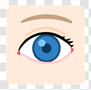 Icon - Blue Eye Icon Illustration Transparent PNG