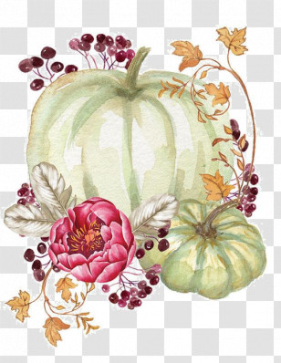 Floral Design Transparent PNG