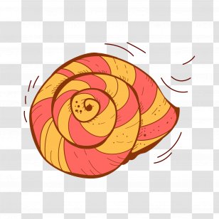 Summer Logo - çº¹ç† Transparent PNG