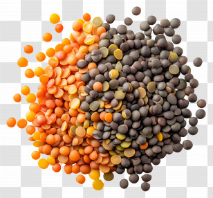 Daal - Red And Black Lentils Transparent PNG