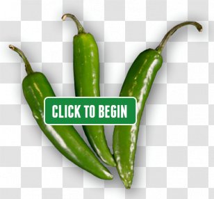 Habanero Serrano Pepper JalapeÃ±o Bird's Eye Chili Tabasco - Guajillo Transparent PNG