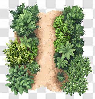 Tree Plan - Dirt Pathway With Green Plants Transparent PNG