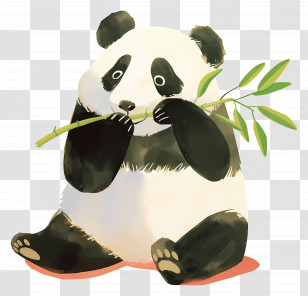Cute Panda - Cute Cartoon Panda Eating Bamboo Transparent PNG