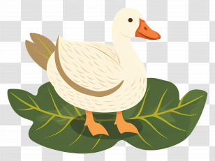 Duck Cartoon - Duck On A Large Green Leaf In Cartoon Style Transparent PNG