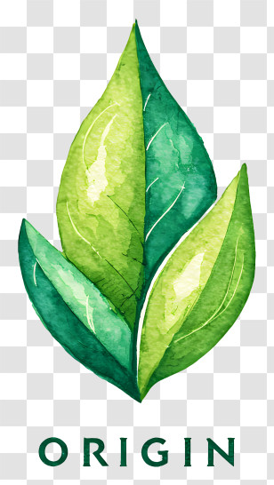 Origin Logo - Origin Green Leaf Logo Transparent PNG
