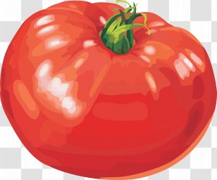 Vegetable Chicken Curry Blue Tomato Clip Art - Cucumber Transparent PNG