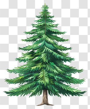 Fir Tree - Cartoon Illustration Of Green Pine Tree Transparent PNG
