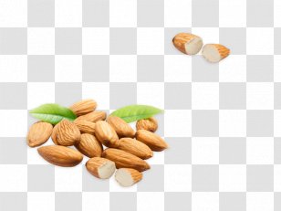 cashew nut png images transparent cashew nut images pnghut