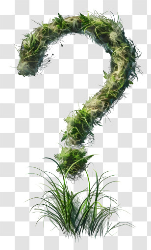 Question Mark - Grass Question Mark With Plants Transparent PNG