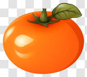 Orange - Bright Orange Fruit Illustration Transparent PNG