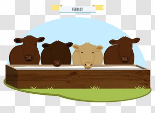 Cattle Animated Cartoon Illustration Carnivores - Livestock - Food Infographic Transparent PNG