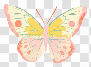 Butterfly - Beautiful Pastel Butterfly Illustration Transparent PNG
