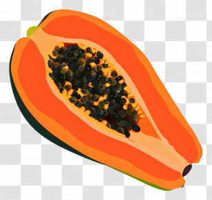 Papaya - Papaya Fruit Illustration With Seeds Transparent PNG