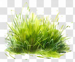 Lawn Grass - Vivid Green Grass Illustration With Natural Style Transparent PNG