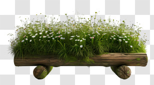 Grass Bench - Flower Bed In A Wooden Log Transparent PNG