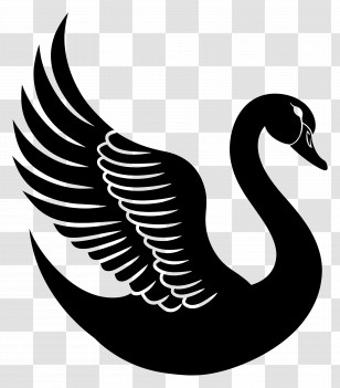 Swan Silhouette - Black Swan Silhouette Artwork Transparent PNG