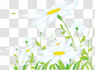 Megabyte Clip Art - Meadow - Camomile Transparent PNG