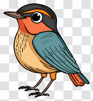 Cartoon Bird - Artistic Kingfisher Bird On Display Transparent PNG