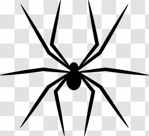 Spider - Tangle Web Transparent PNG