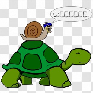 Turtle And Snail T-shirt Reptile - Gastropod Shell - Top Skeleton Transparent PNG