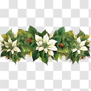Poinsettia Flower Border - Festive Poinsettia Decoration Transparent PNG