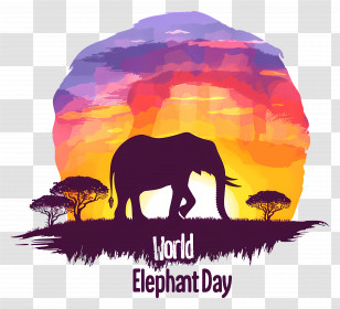 World Elephant Day - World Elephant Day Sunset Illustration Transparent PNG