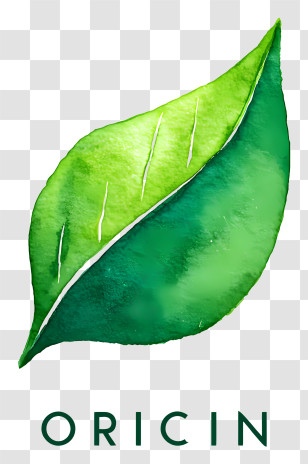 Origin Logo - Green Watercolor Leaf Logo Transparent PNG