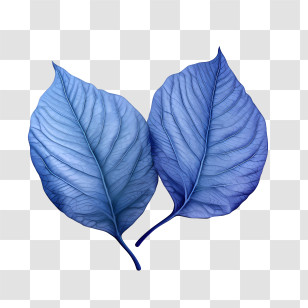 Blue Leaves - Blue Leaves Illustration In Modern Art Style Transparent PNG