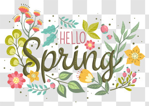 Sorry - Hello Spring Text With Floral Design Transparent PNG