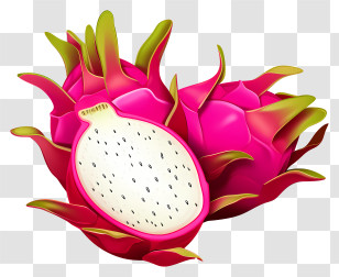 Pink Dragon Fruit - Vibrant Pink Dragon Fruit Illustration Transparent PNG