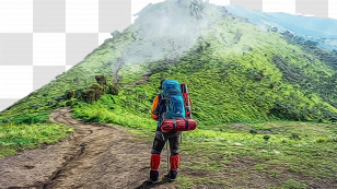 Hiking Mount Scenery Plant Community Mountain Range Forest Transparent PNG