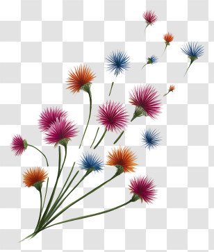 Flowers In The Wind - Colorful Flowers In Bloom Transparent PNG