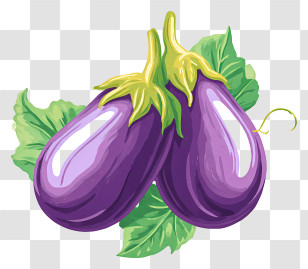 Eggplants - Two Purple Eggplants Illustration Transparent PNG